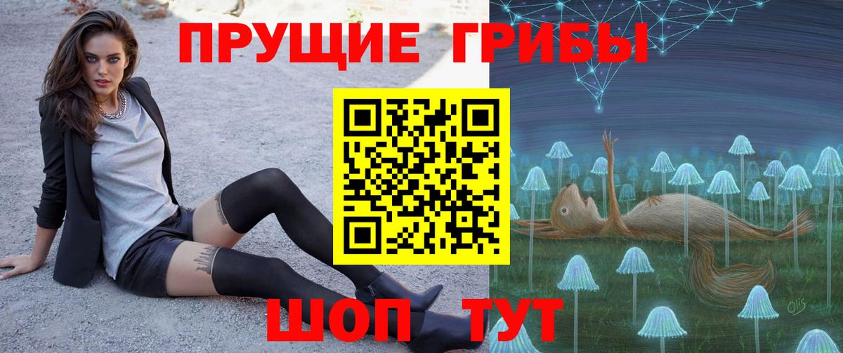 наркота  Галлюциногенные грибы Psilocybine cubensis  Вход с VPN  Луга 